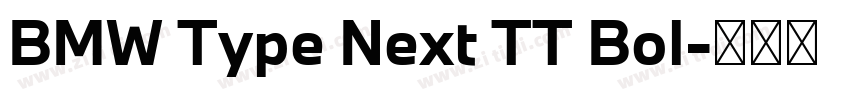 BMW Type Next TT Bol字体转换 BMW Type Next TT Bol字体转换